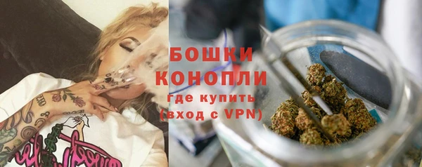 марки lsd Новозыбков