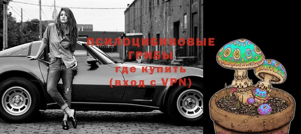 марки lsd Новозыбков