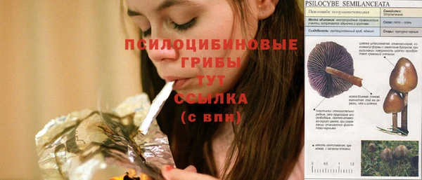 марки lsd Новозыбков