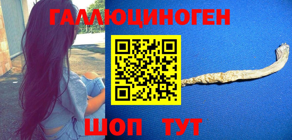 Псилоцибиновые грибы GOLDEN TEACHER  Вход с VPN  Сатка 