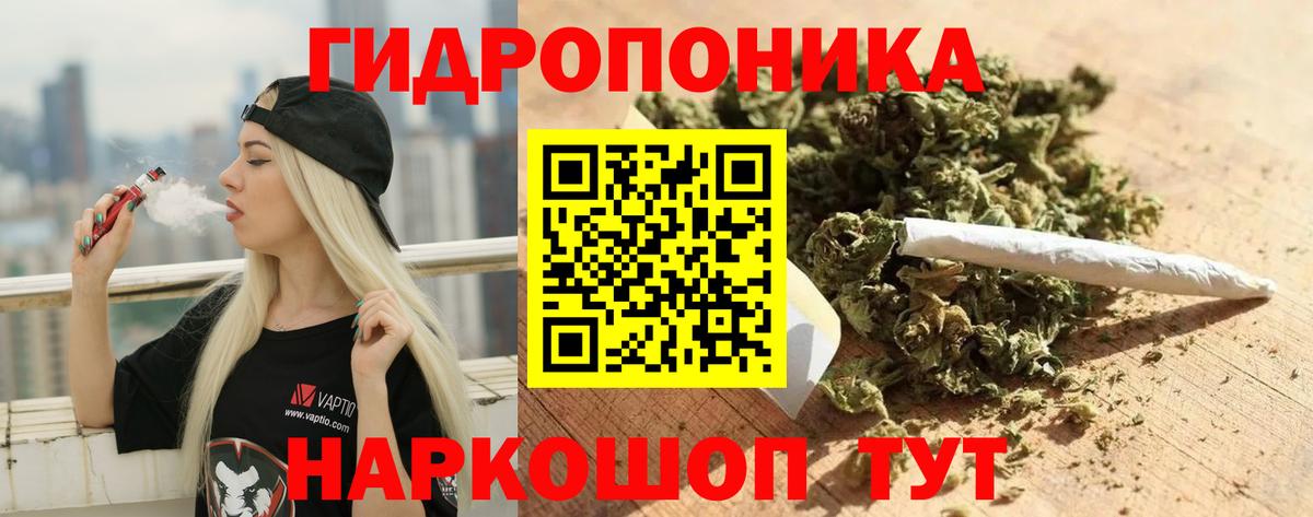 Канабис SATIVA & INDICA Сатка